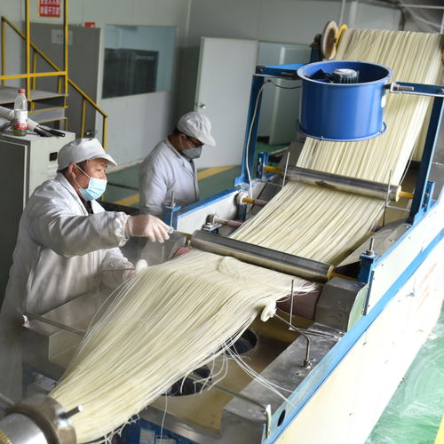 双峰春节临近，青树坪米粉与碎石加工共谱生产繁忙曲